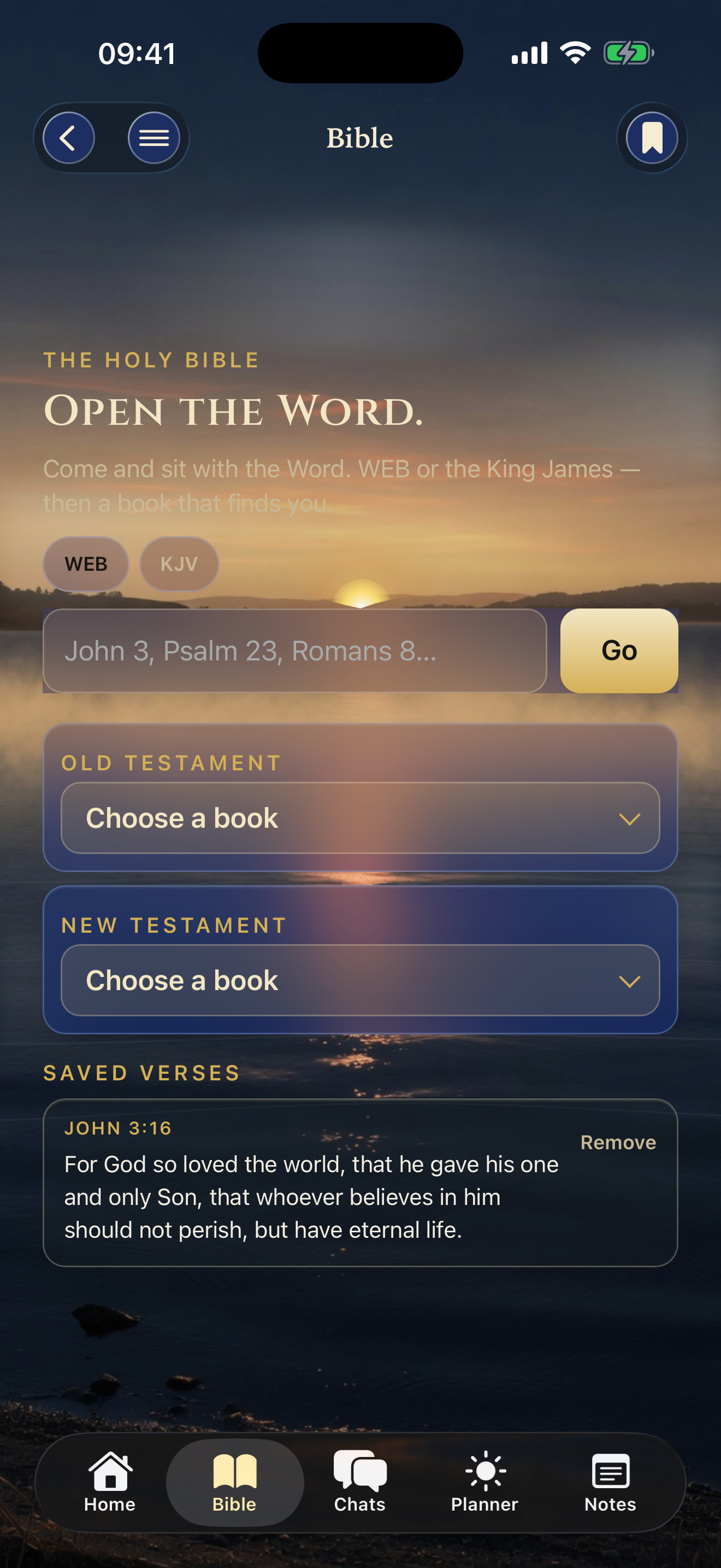 The Holy Bible: Open the Word.